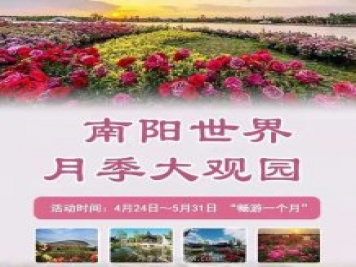 第十二届南阳月季花会4月29日开幕，活动丰富多彩