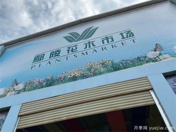 鄢陵县花木产业未必能想到的那些问题